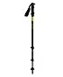 Trekking poles HANNAH CAMPING TREK FL Uni, anthracite/green