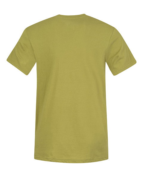 T-shirt Hannah Greg Men, green olive