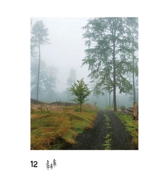 Kniha  STEZKA ČESKEM-MARTIN ÚBL