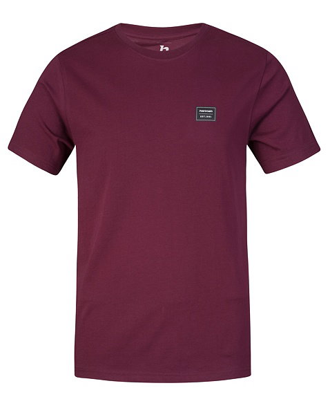 T-shirt Hannah Alsek II Men