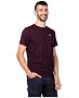 T-shirt HANNAH FRED Men