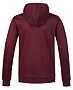 Pánska mikina HANNAH ROFY HOODY