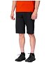 Pánské kraťasy HANNAH BINDERS SHORTS, anthracite