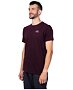 T-shirt HANNAH FRED Men